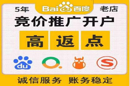顶级SEM服务公司案例解析